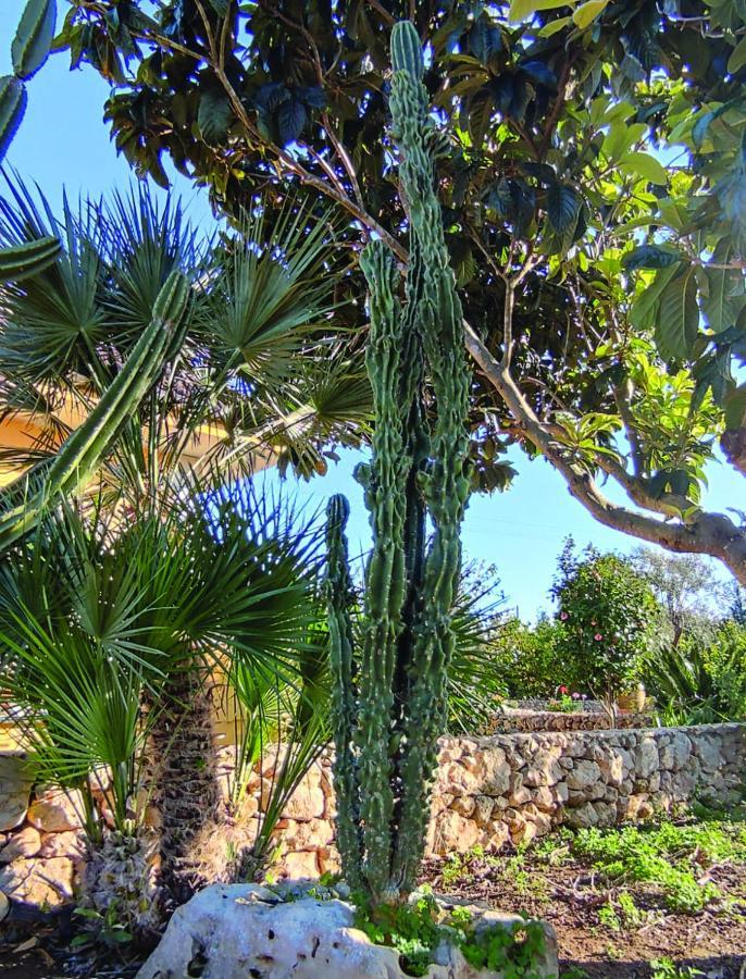 Villa Sargheruoli Monteroni di Lecce Exteriör bild